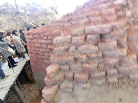 CIMG6447