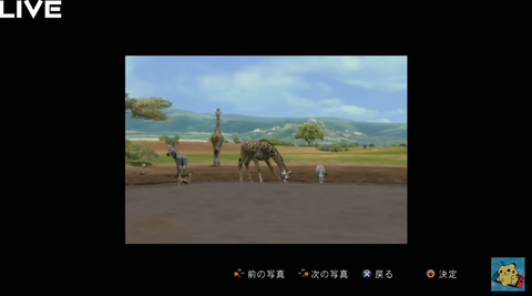 africa19
