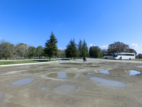 CIMG6429