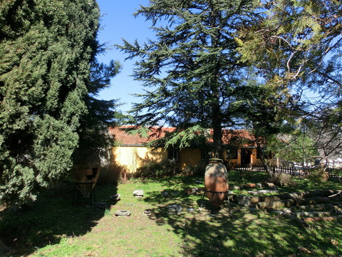 CIMG6431