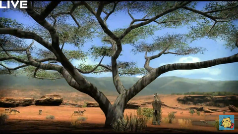 africa5