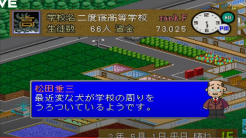 43
