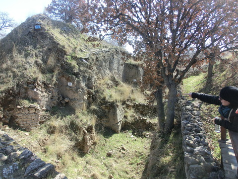 CIMG6458