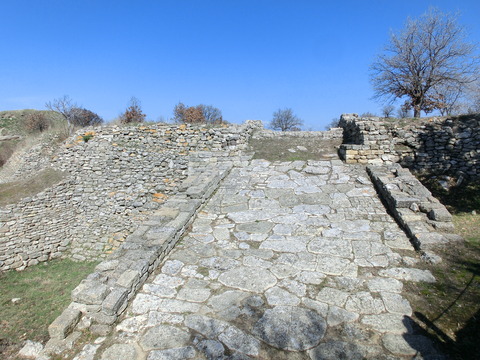 CIMG6466