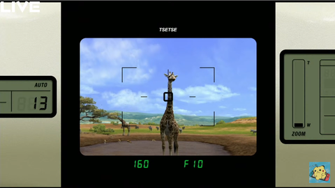 africa17