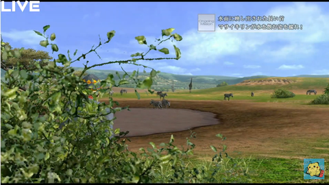 africa16
