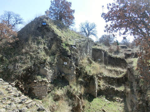 CIMG6455