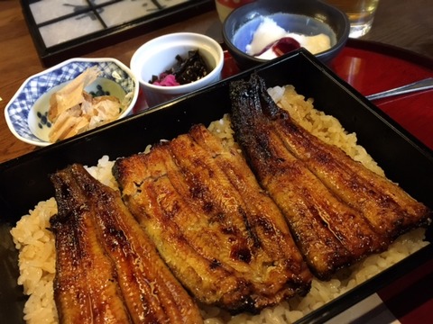 unagi