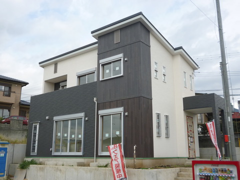 P1000646