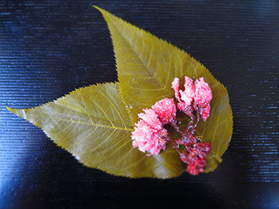 梅園　桜餅