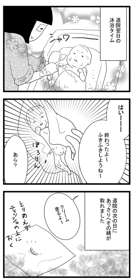 へその緒