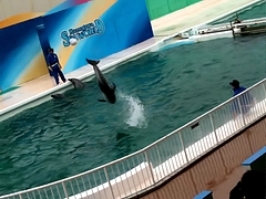 鴨川シーワールド
