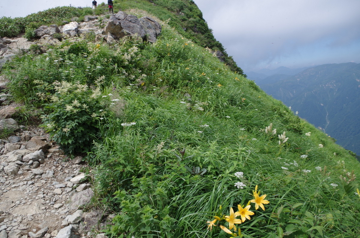 谷川岳登山３ 夏も 魔の山 茶房 海と空