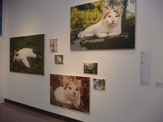 neko