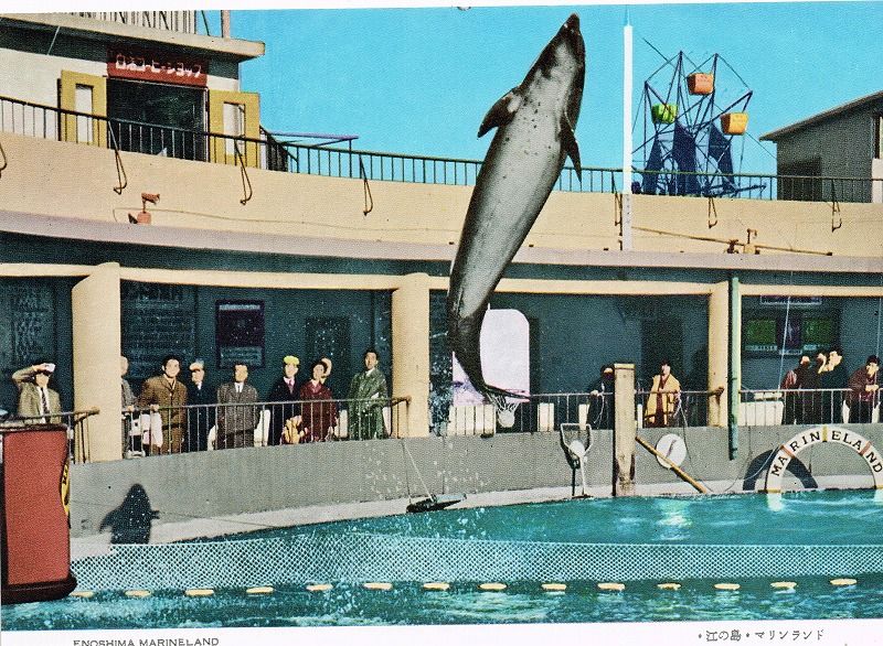 懐かしの遊園地 江の島 マリンランドの観覧車 観覧車通信 Kanransha Tsushin