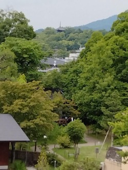 IMG20230607160004_BURST001