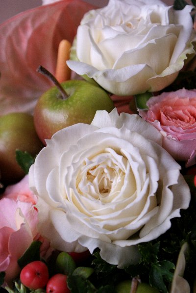 藤野バラ園の新しいバラ ポルトスノー 北九州市門司区の花屋 お花と暮らそう