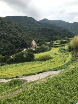 20190820d3