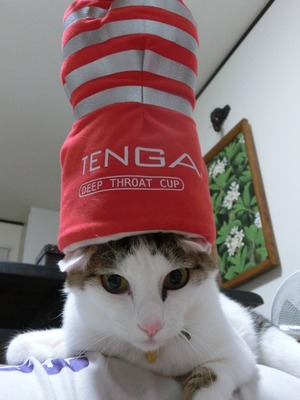 Mar tenga