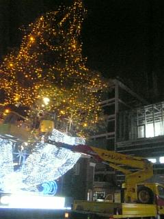 9503c054.jpg