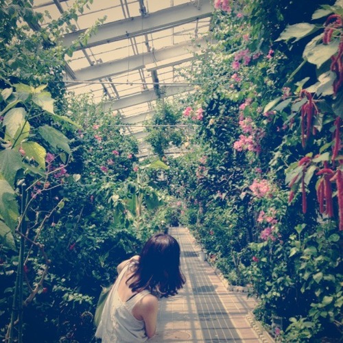 写真 2