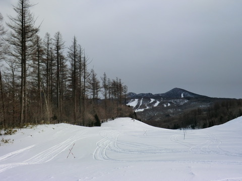 d86e0d8f.jpg