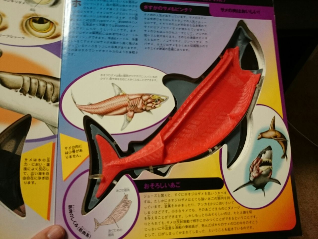 値下げしました。サメのからだ 立体モデル大図鑑 コブラ タランチュラ 3冊セット サメのからだ 立体モデル大図鑑 タランチュラ 3冊セット 値下げしま