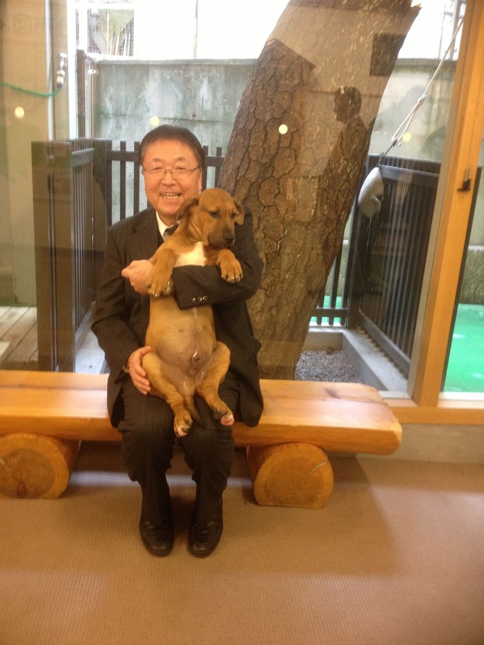 ひばりの囁き ささやき 土佐の闘犬 壮絶 ひばりの囁き ささやき 土佐の闘犬 壮絶