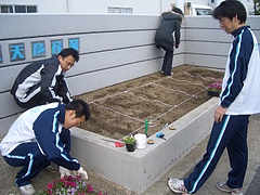 ���ä�����š�21ǯ�� 001