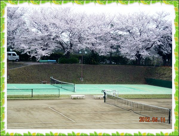 湘南ローンテニスクラブ が創立４０年になりました Tenistamiのブログ