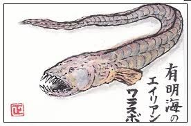 ふるさと佐賀 有明海の珍魚介類 懐かしい味 Tenistamiのブログ