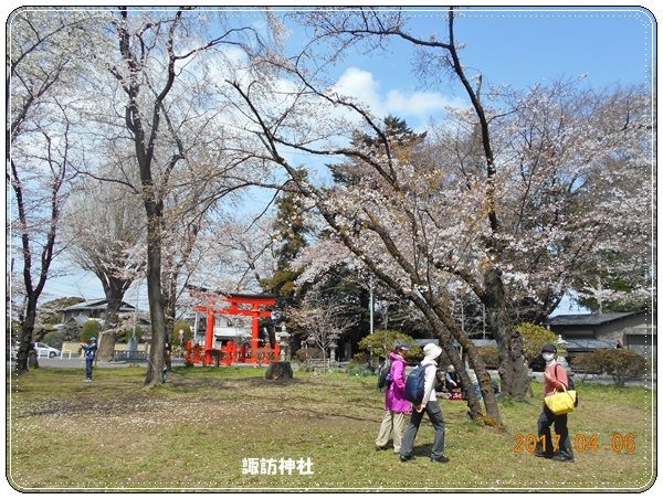 ２０１７年桜満開 町田市鶴間公園へ花見のハイキング Tenistamiのブログ