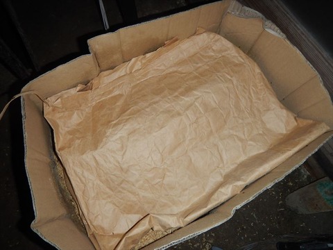 DSCN7120_R