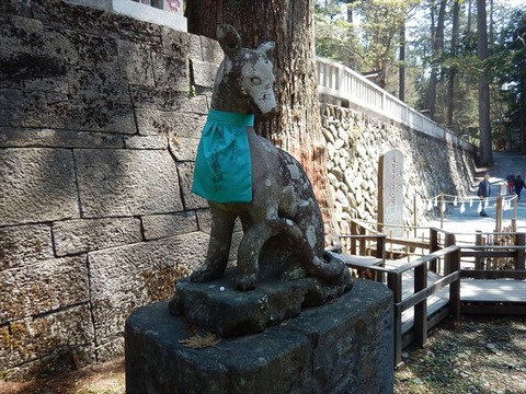 DSCN0040_R
