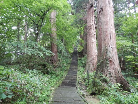 DSCN6843_R