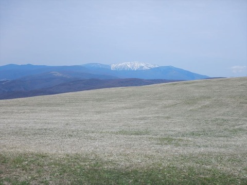 DSCN3407_R