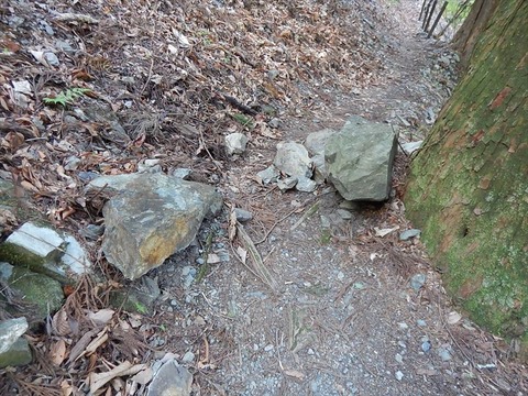 DSCN0016_R