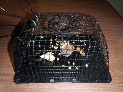 DSCN5947_R
