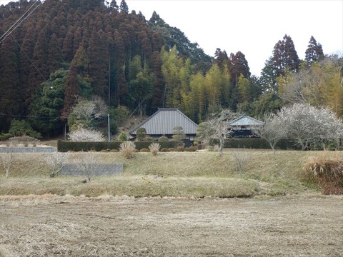 DSCN5999_R
