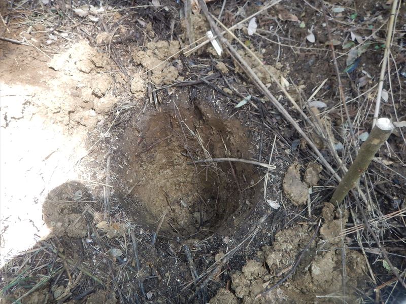 意味のある穴掘り 日常探求とこだわり