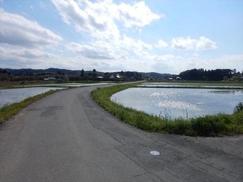 DSCN6256_R
