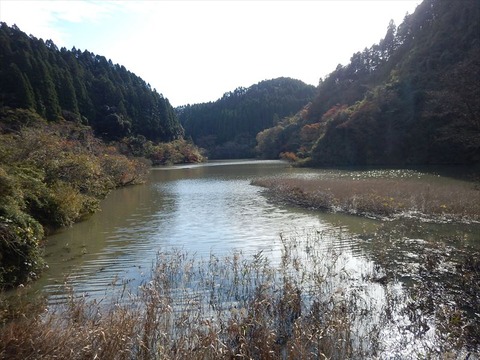 DSCN7618_R