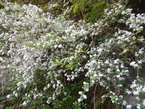 DSCN8710_R
