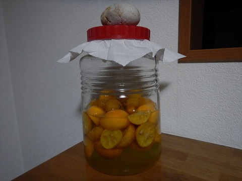 DSCN7764_R