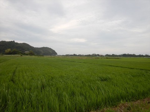 DSCN4016_R