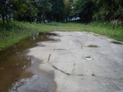 DSCN3983_R