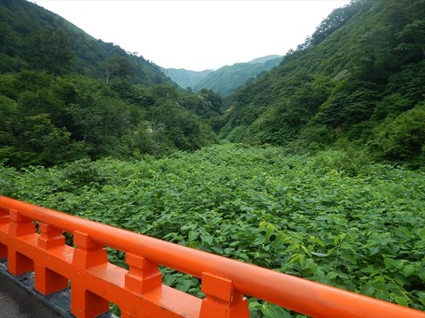DSCN6822_R