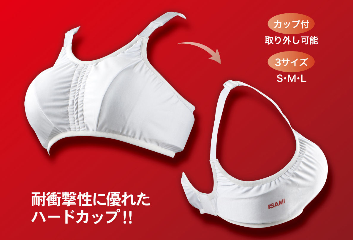 チェストサポーターと胸ガードについて : 極真館の指導員ブログ