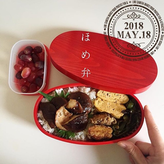 32178240_213403692770535_5161482235072741376_n