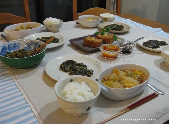 2007年10月20日(土)